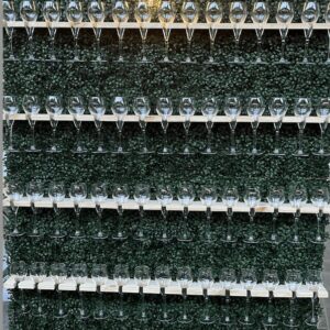 Mur champagne végétal
